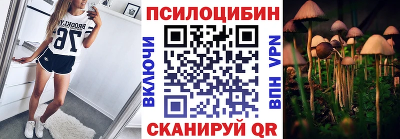 продажа наркотиков  Темрюк  Псилоцибиновые грибы Cubensis 